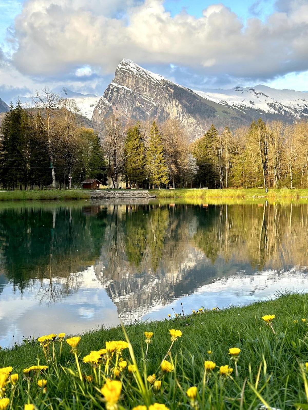Bungalow 3 Chambres Pour 6 Pers Avec Climatisation Camping 3 Etoiles Samoëns Dış mekan fotoğraf
